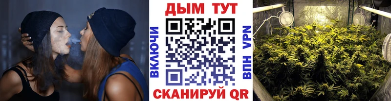 Марихуана план  Купить закладки  Красный Сулин 